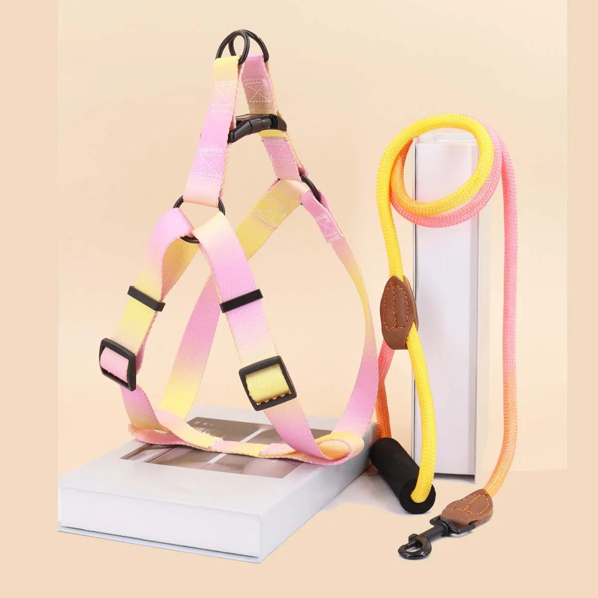 Colorful Pet Harness Set