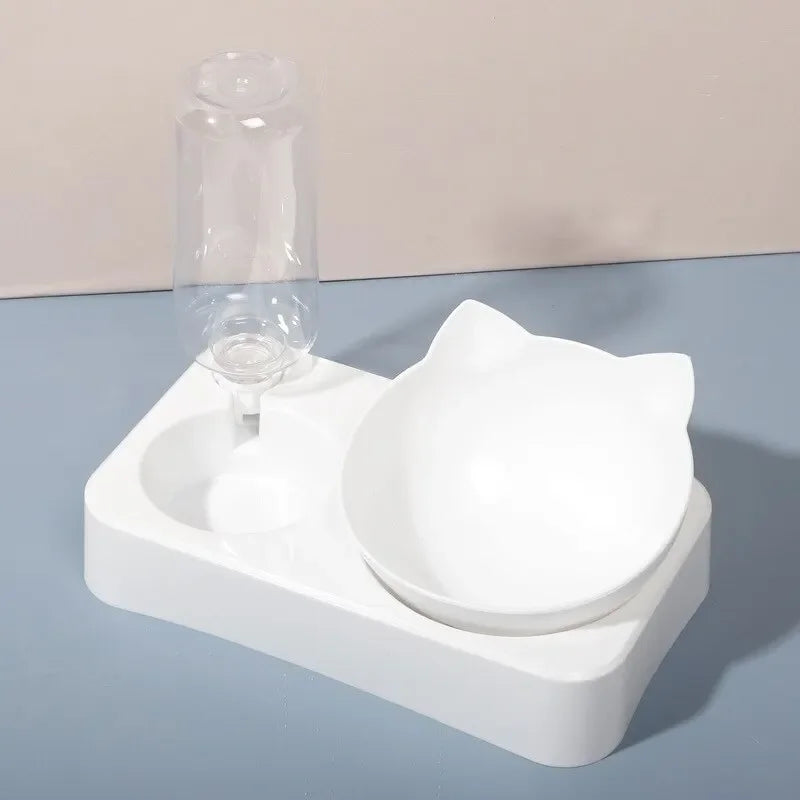 Tilted Pet Feeding Bowl
