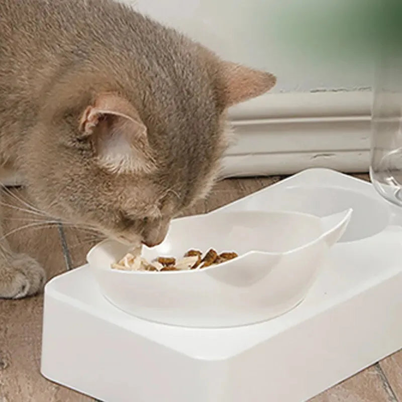 Tilted Pet Feeding Bowl