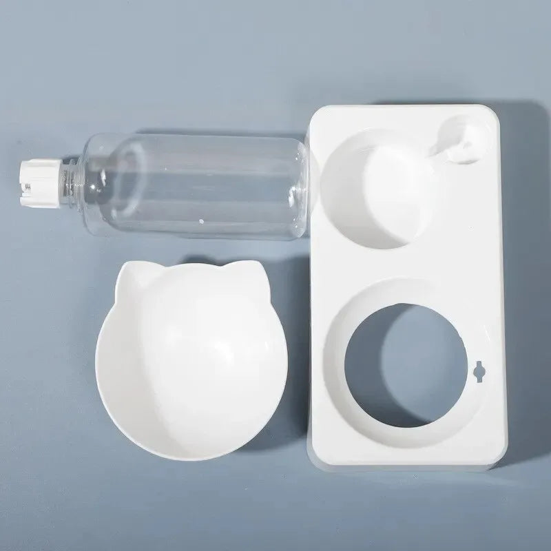 Tilted Pet Feeding Bowl