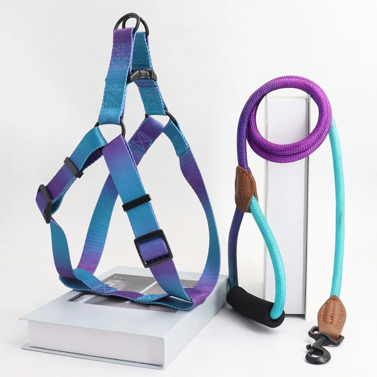 Colorful Pet Harness Set