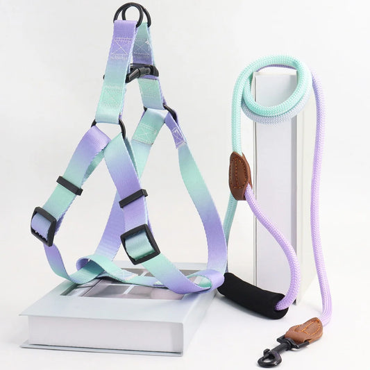 Colorful Pet Harness Set