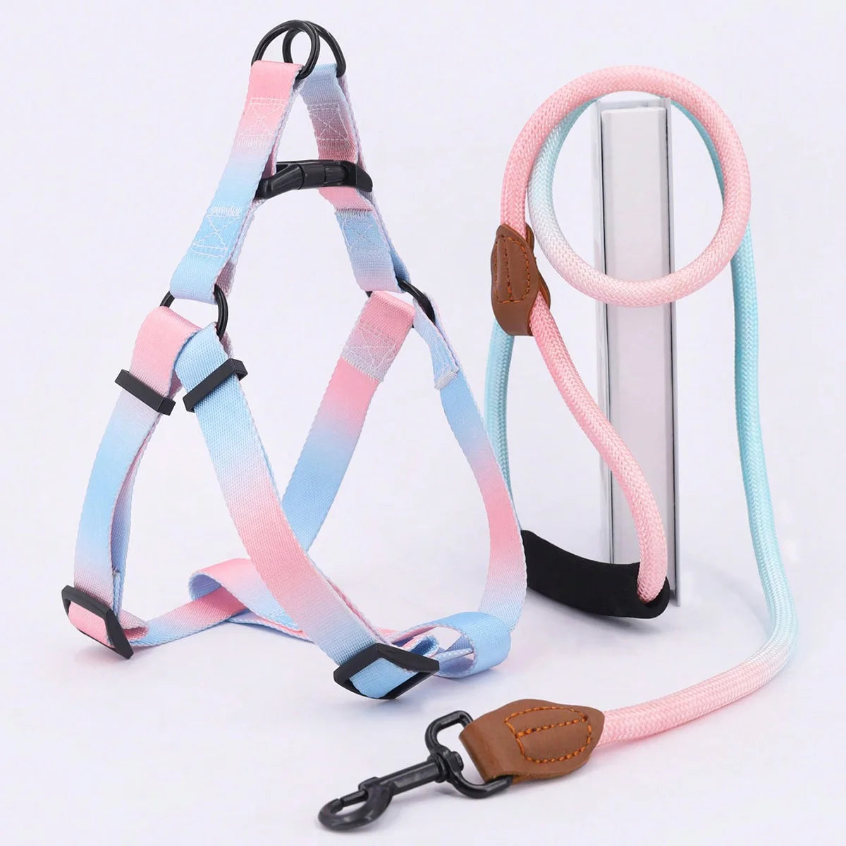 Colorful Pet Harness Set