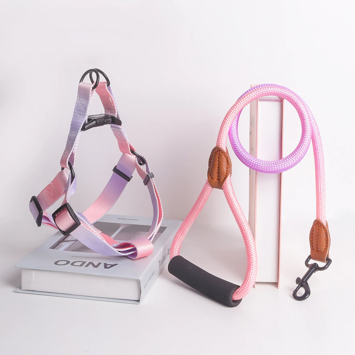 Colorful Pet Harness Set