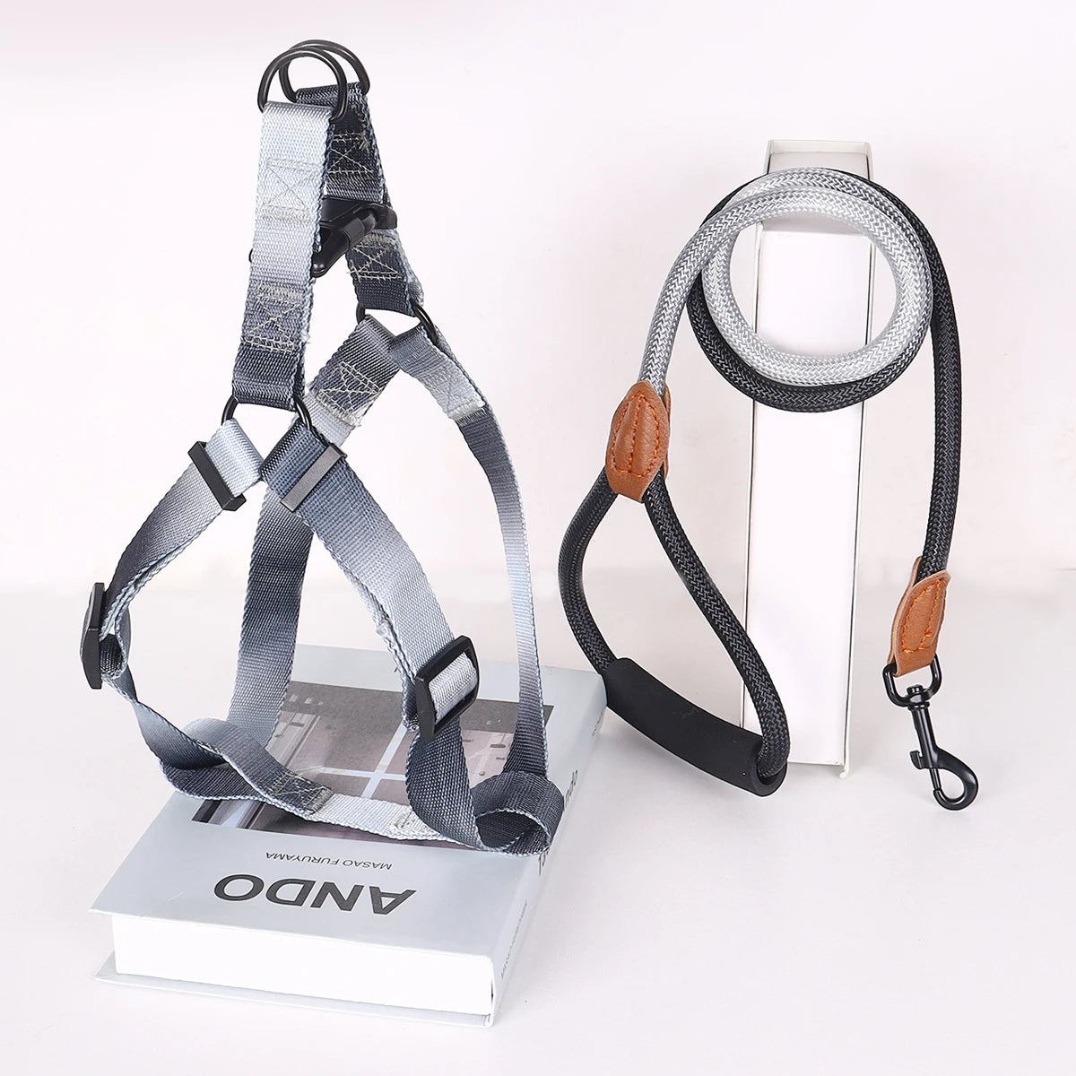 Colorful Pet Harness Set