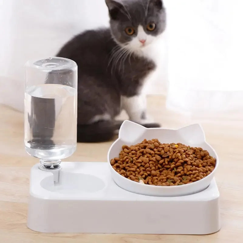 Tilted Pet Feeding Bowl