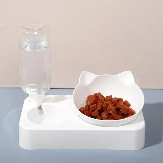 Tilted Pet Feeding Bowl