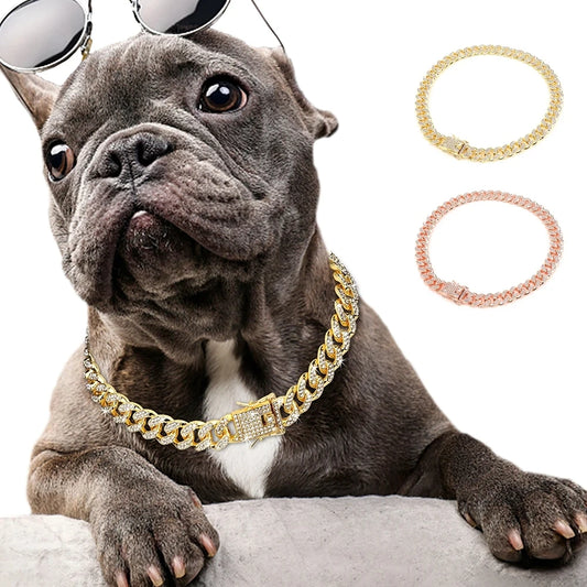 Bling Gold Dog Collar